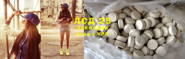 хмурый Алексин