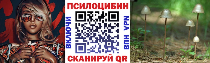 Галлюциногенные грибы Magic Shrooms Ковров